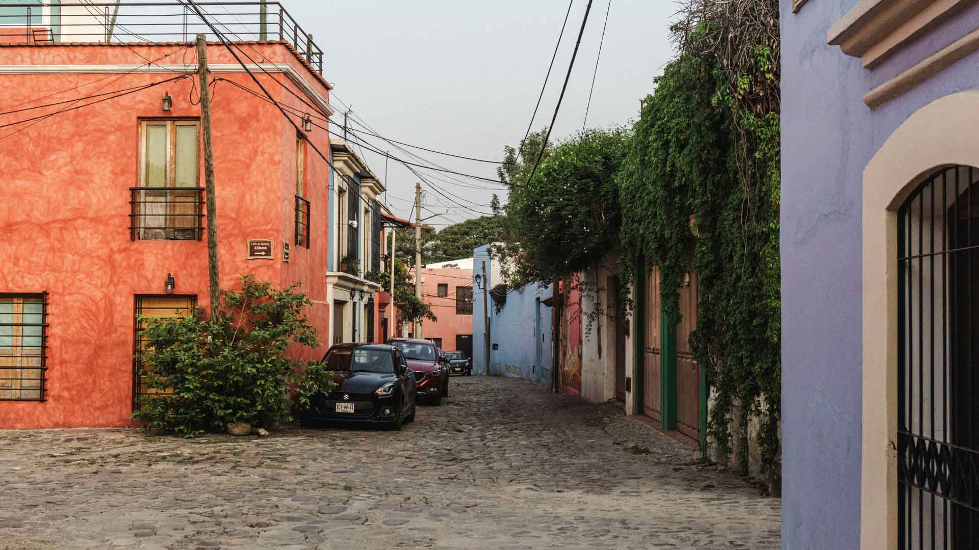 Galería imagen 7